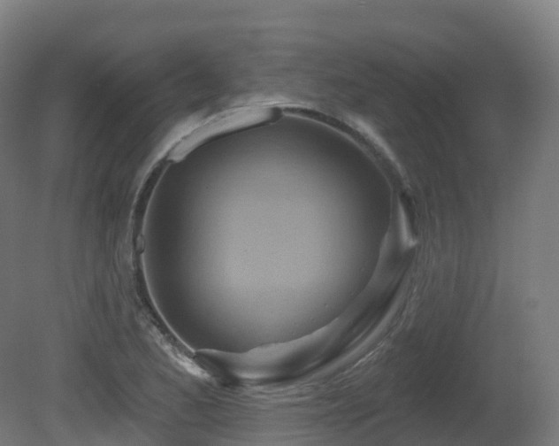 X0000081421173200701121227
