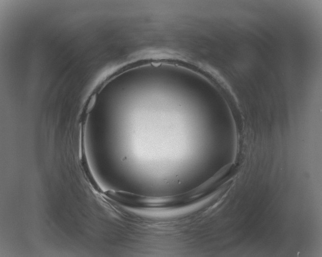 X0000081421175200701121227