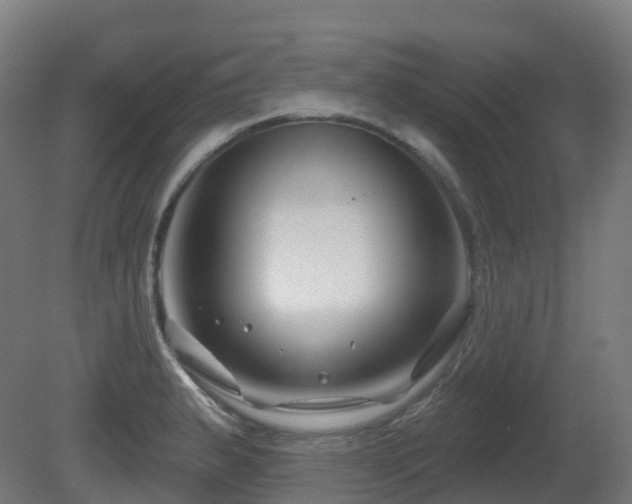 X0000081421183200701121227