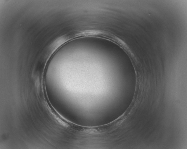X0000081421186200701121227