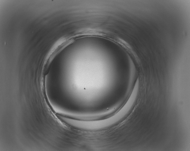 X0000081421188200701121227