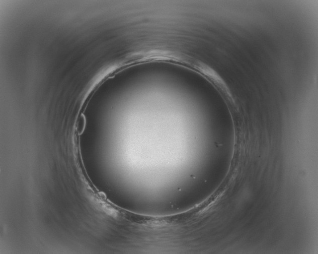 X0000081421190200701121227