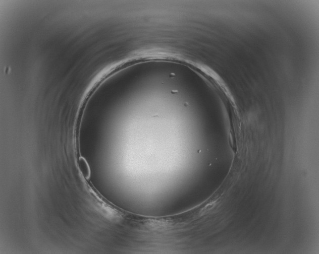 X0000081421191200701121227