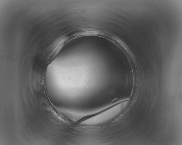 X0000081421193200701121227