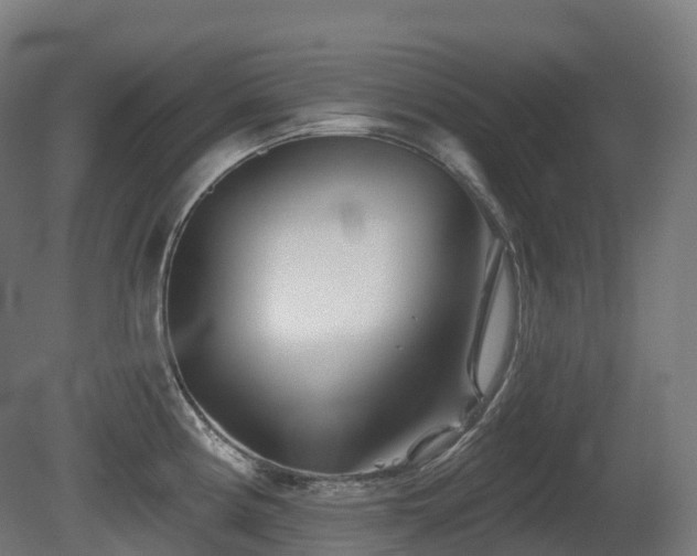 X0000081421194200701121227