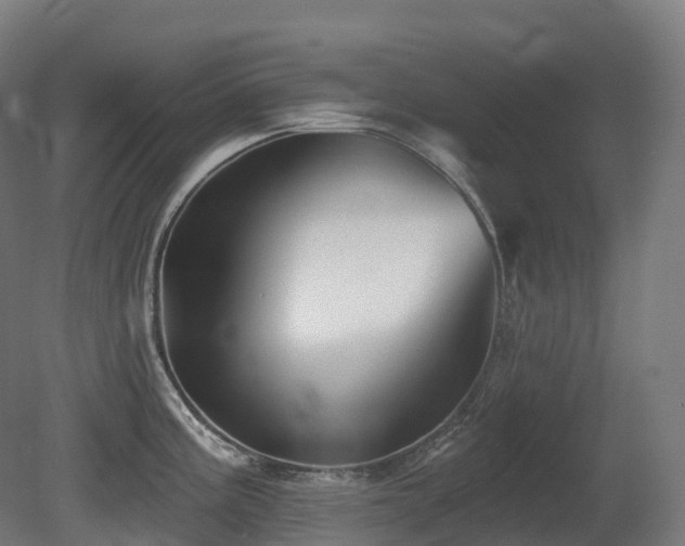 X0000081421195200701121227