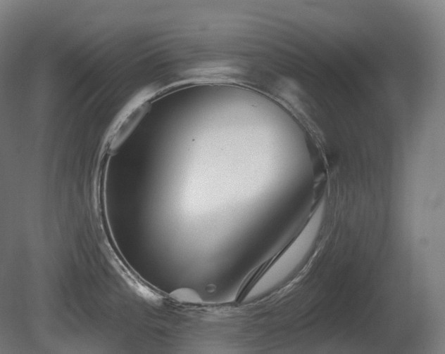 X0000081421196200701121227