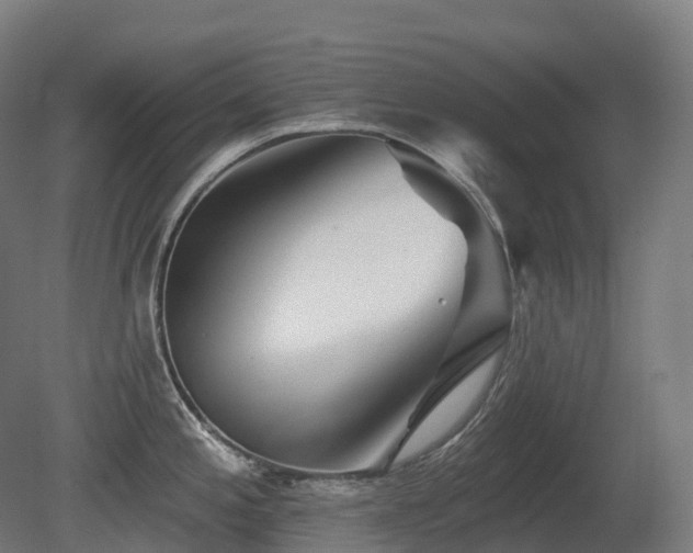X0000081421197200701121227