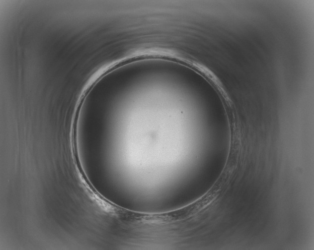 X0000081421199200701121227