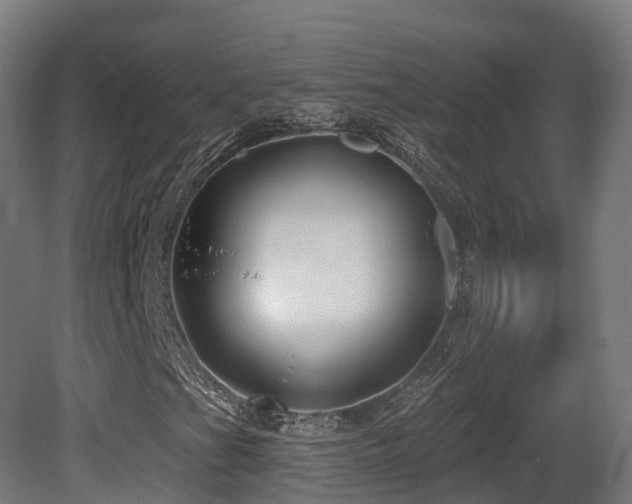 X0000081421201200701121226