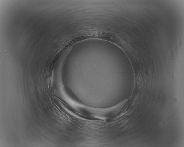 X0000081421202200701121226