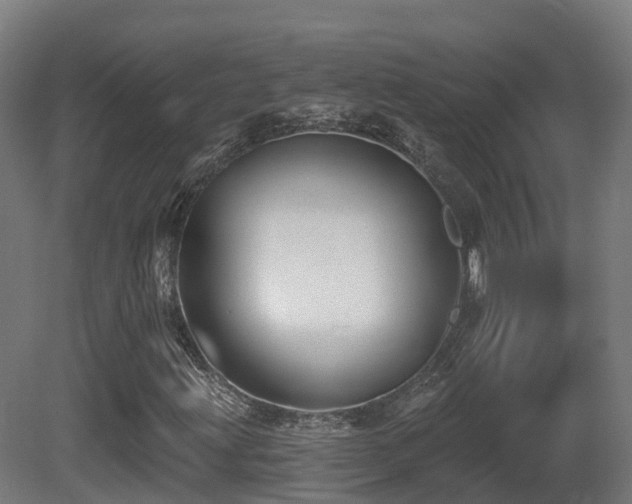 X0000081421203200701121226