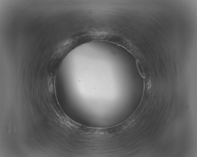 X0000081421204200701121226