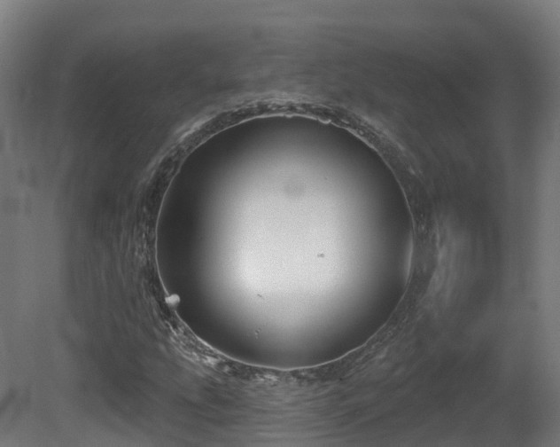 X0000081421207200701121226