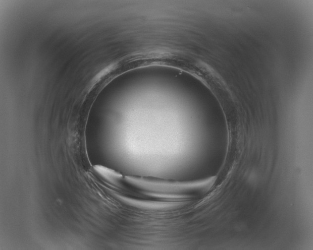 X0000081421210200701121226