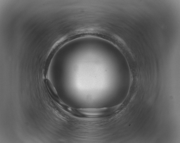 X0000081421218200701121226
