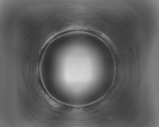 X0000081421220200701121226