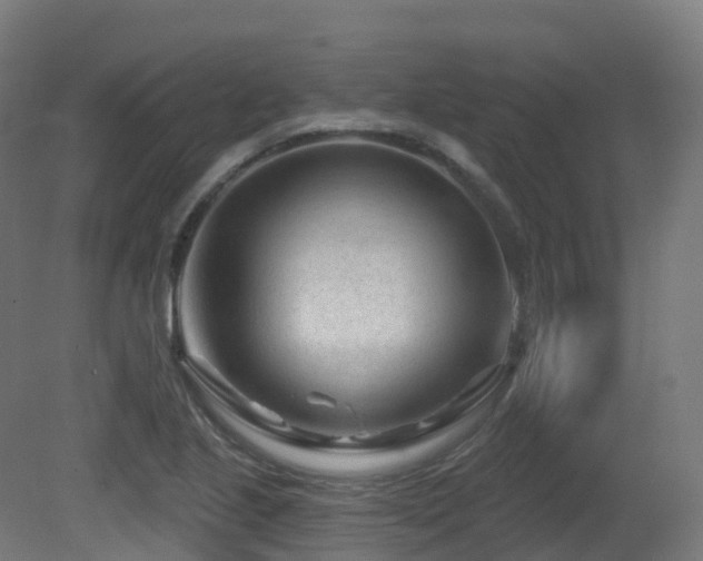 X0000081421221200701121226
