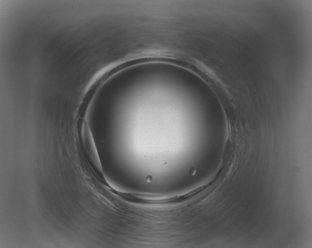 X0000081421222200701121226