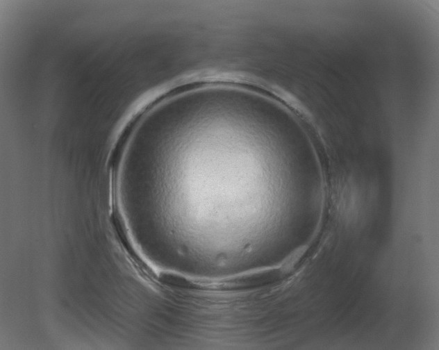 X0000081421223200701121227
