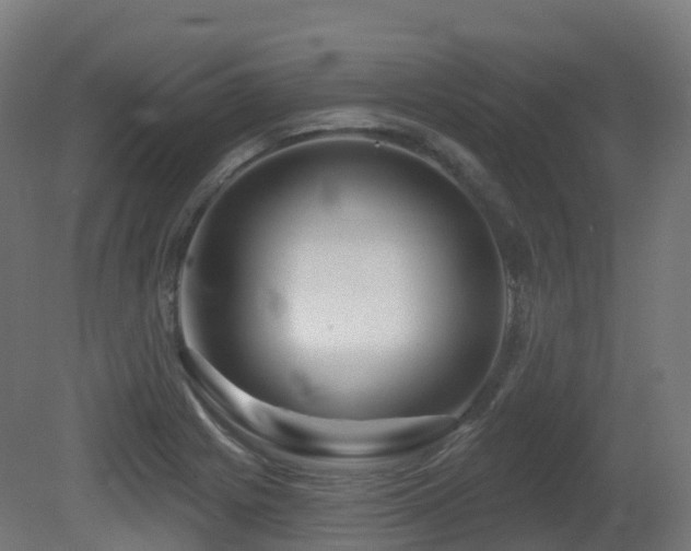 X0000081421225200701121227