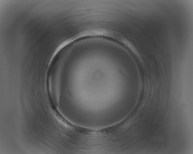 X0000081421226200701121227