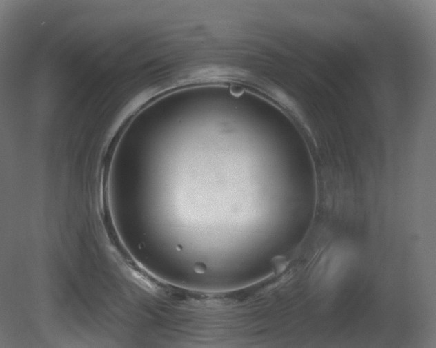 X0000081421227200701121227