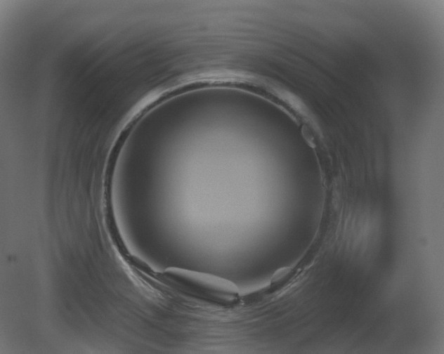 X0000081421229200701121227