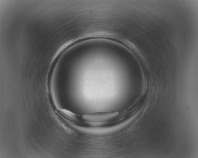 X0000081421230200701121227