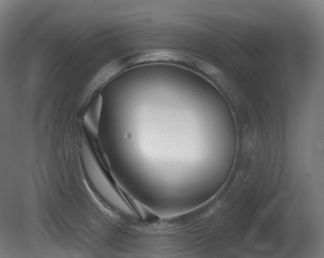 X0000081421233200701121227