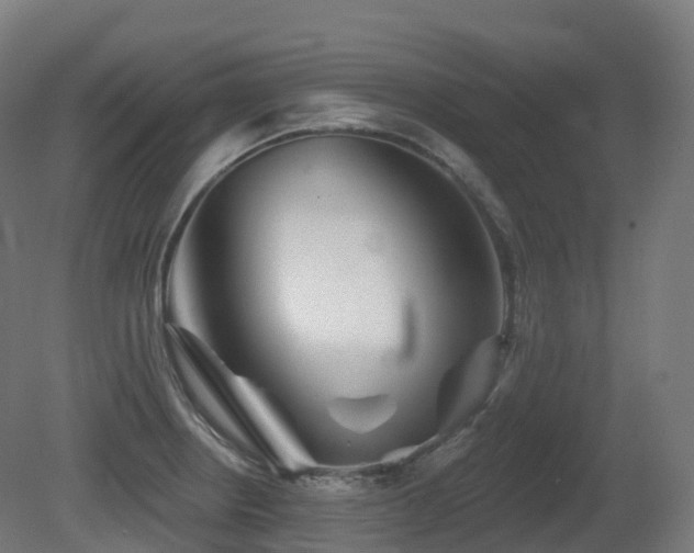 X0000081421234200701121227