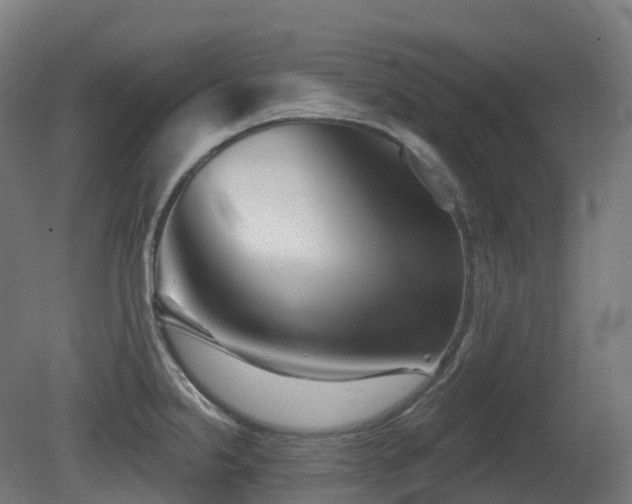 X0000081421238200701121227