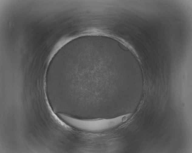 X0000081421239200701121227