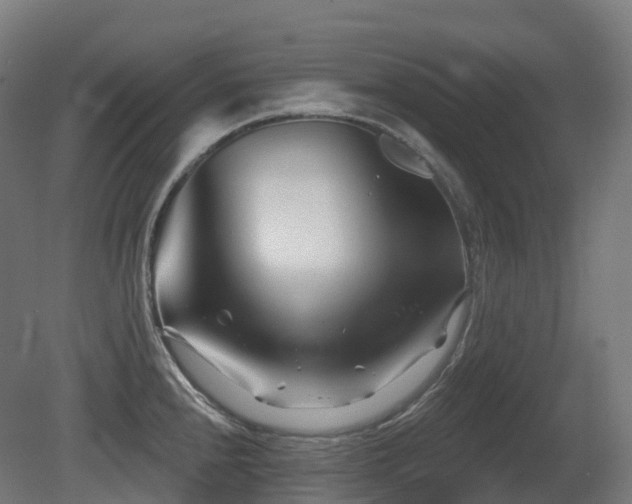 X0000081421240200701121227