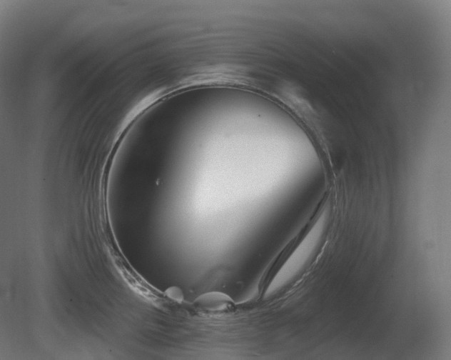 X0000081421242200701121227