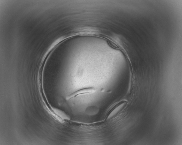X0000081421243200701121227