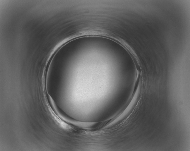 X0000081421246200701121227