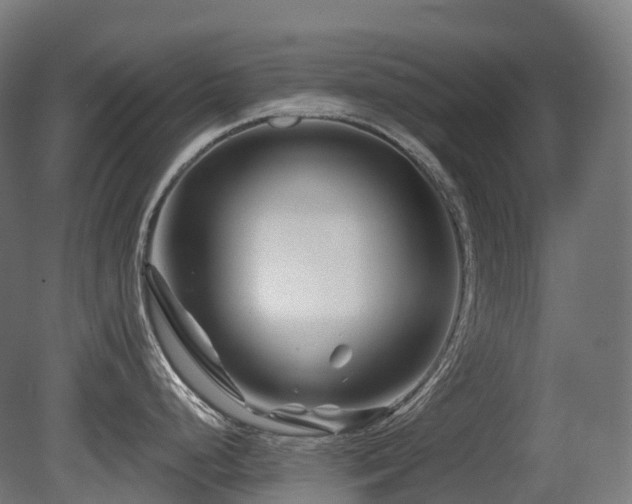 X0000081421248200701121227