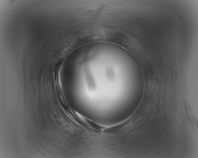 X0000081421250200701121226