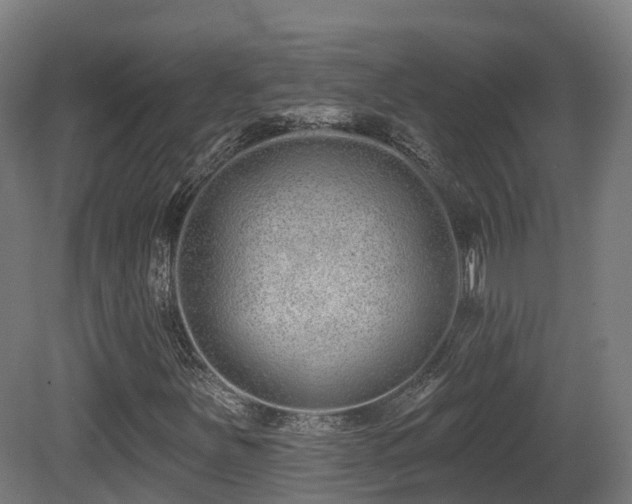 X0000081421251200701121226
