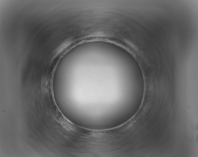 X0000081421258200701121226