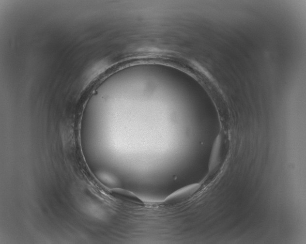 X0000081421259200701121226