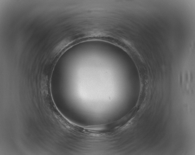 X0000081421265200701121226