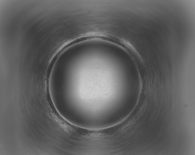 X0000081421268200701121226
