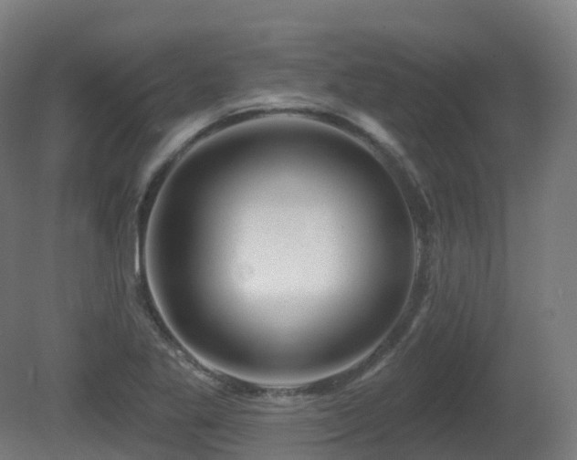X0000081421269200701121226