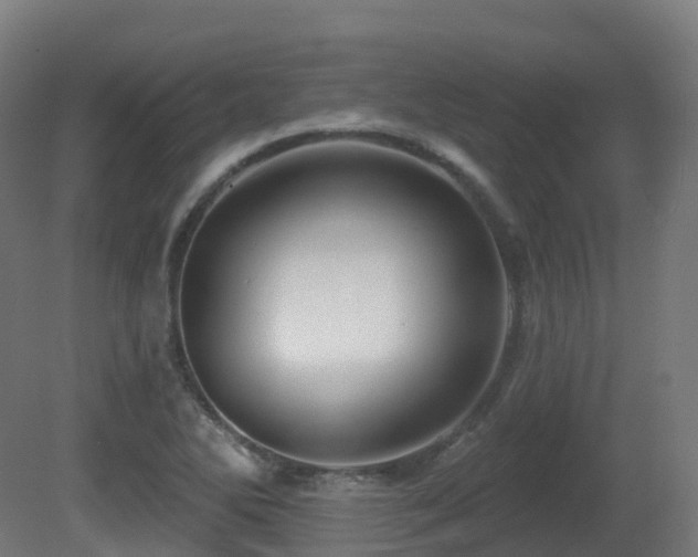 X0000081421270200701121226