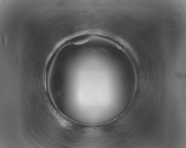 X0000081421272200701121226