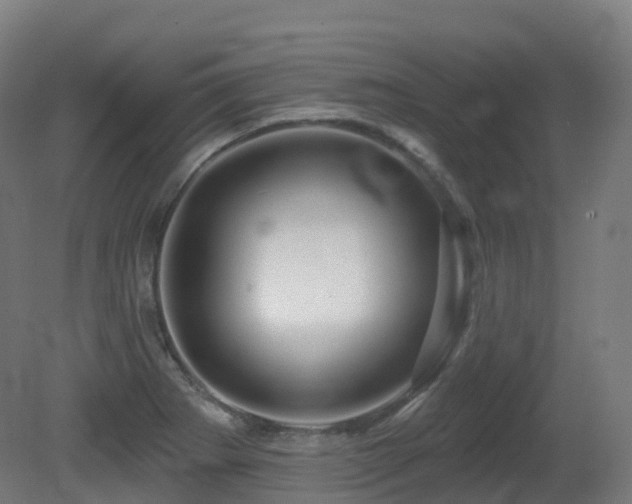X0000081421273200701121226