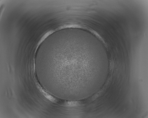 X0000081421274200701121226