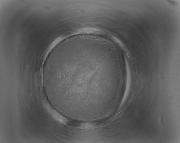 X0000081421275200701121226